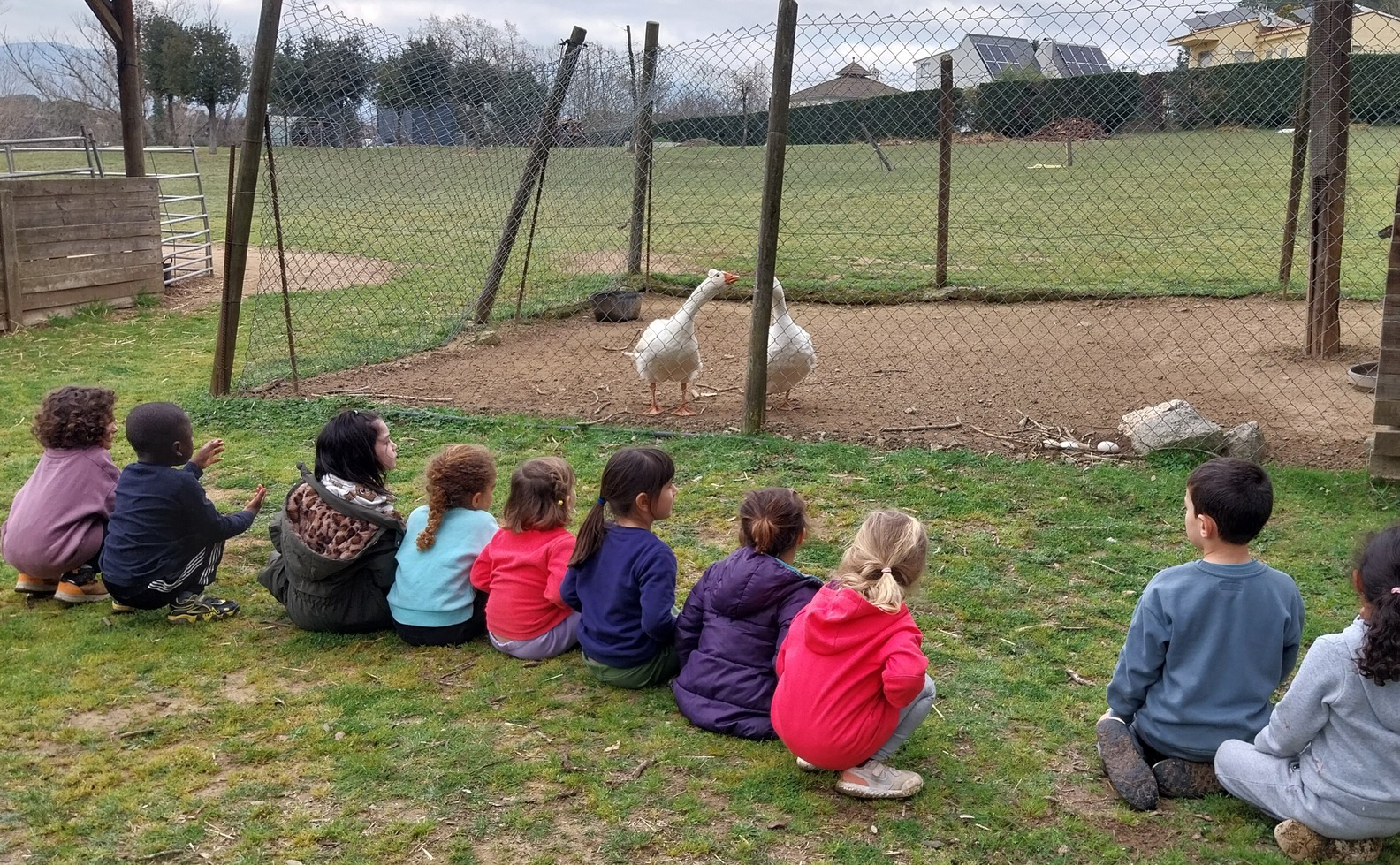 20260302_115656 (1) (1)