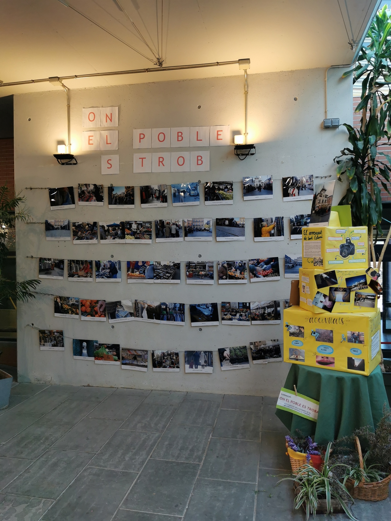 IMG_20260320_164731 (1)