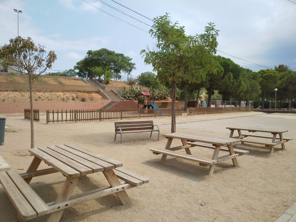 IMG_20210910_141319 (Medium)