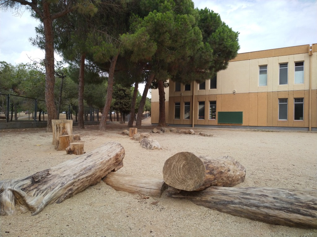 IMG_20210910_141415 (Medium)