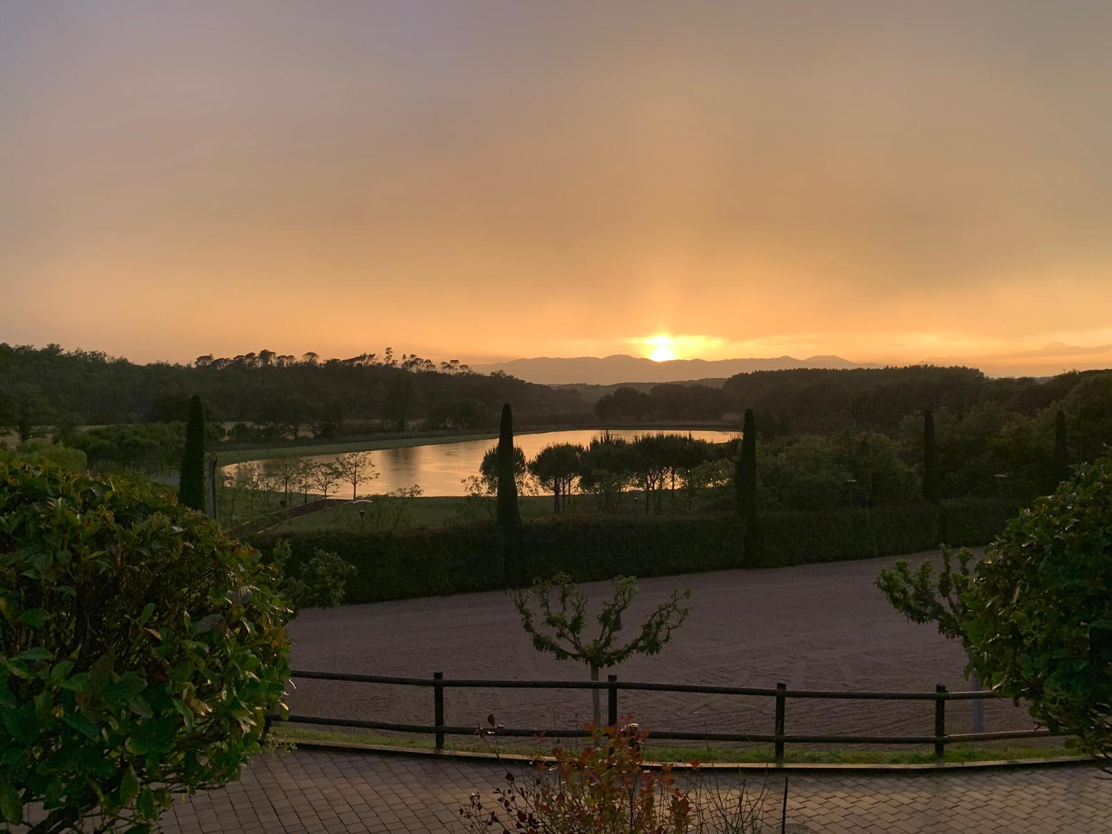 WhatsApp Image 2024-06-04 at 16.58.02