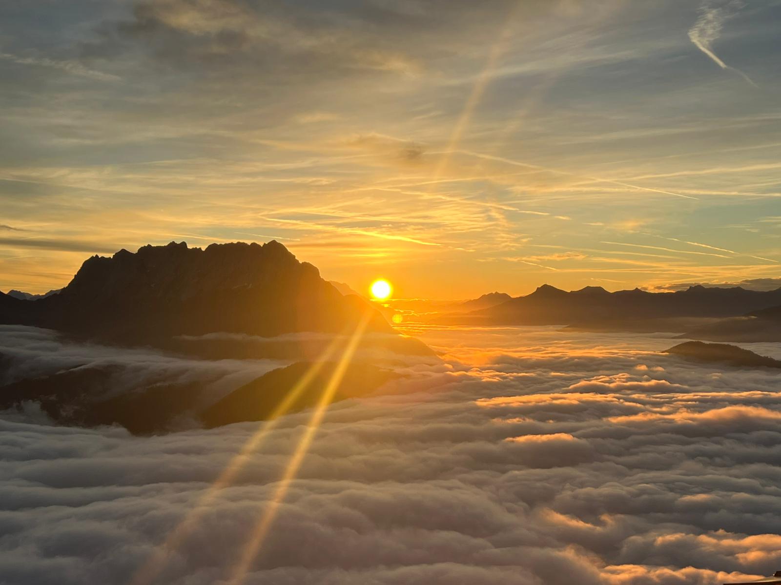 WhatsApp Image 2024-10-21 at 17.27.24 (1)