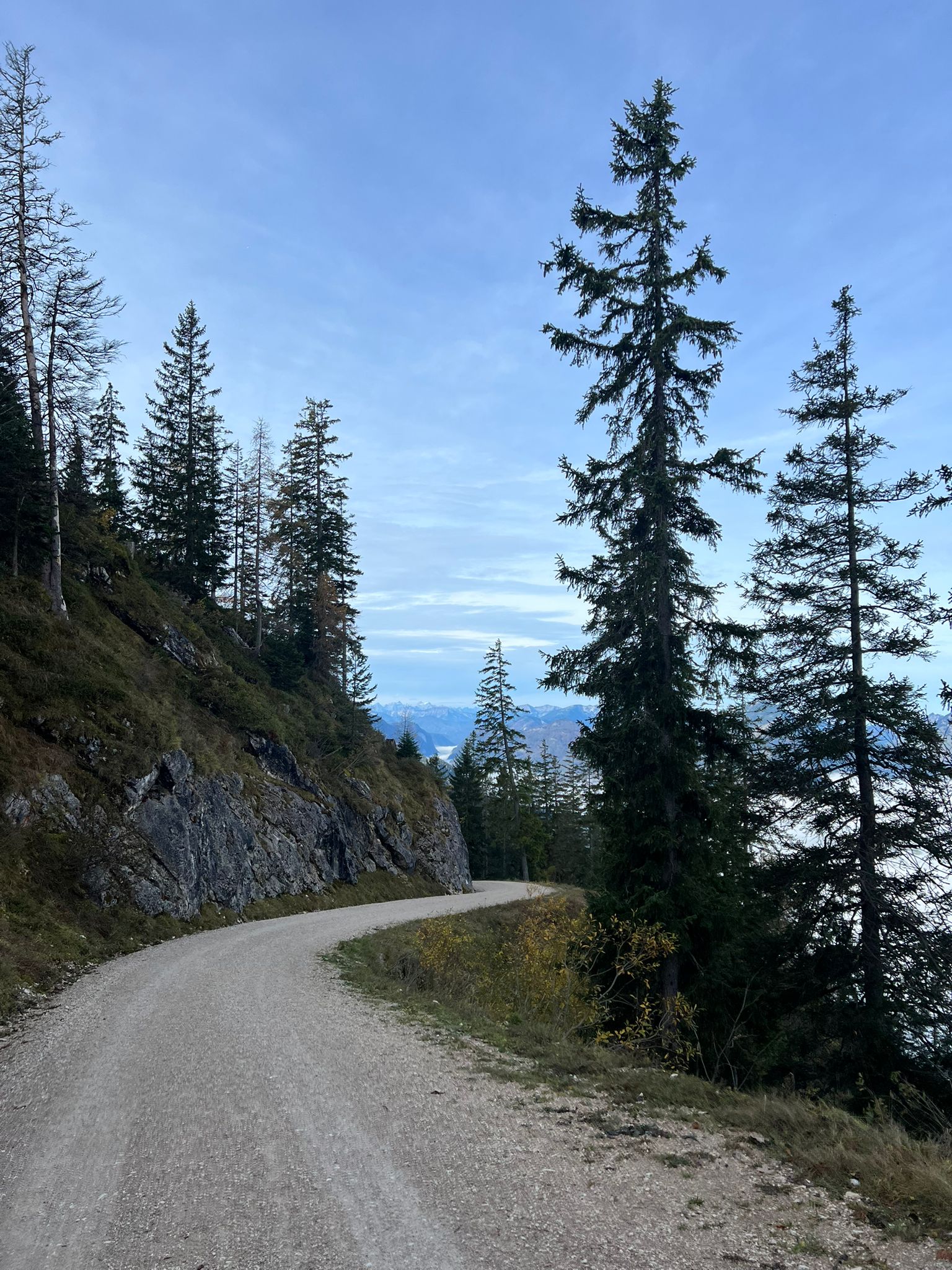 WhatsApp Image 2024-10-21 at 17.27.25 (3)