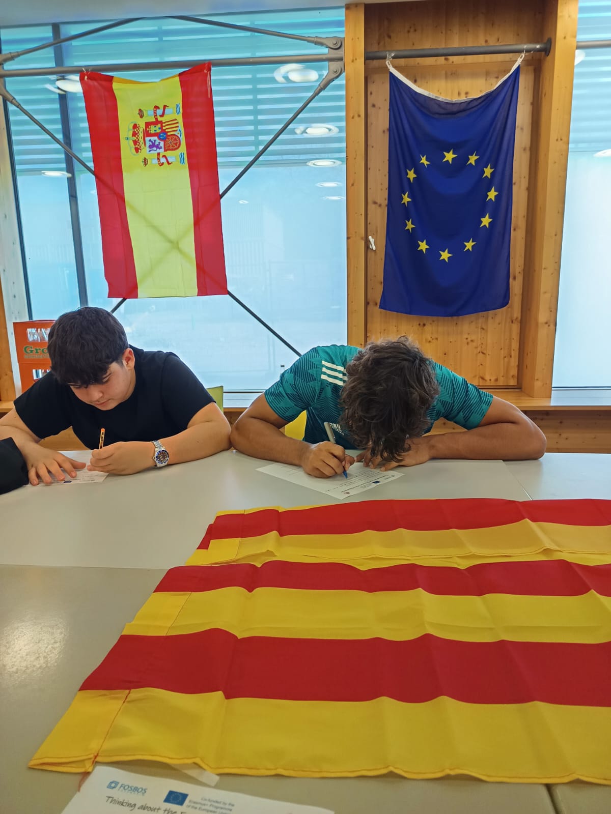 WhatsApp Image 2024-10-29 at 11.37.52 (3)