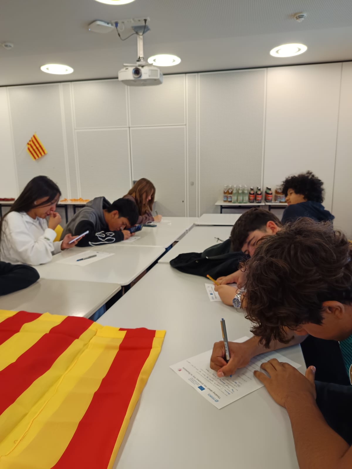 WhatsApp Image 2024-10-29 at 11.37.52