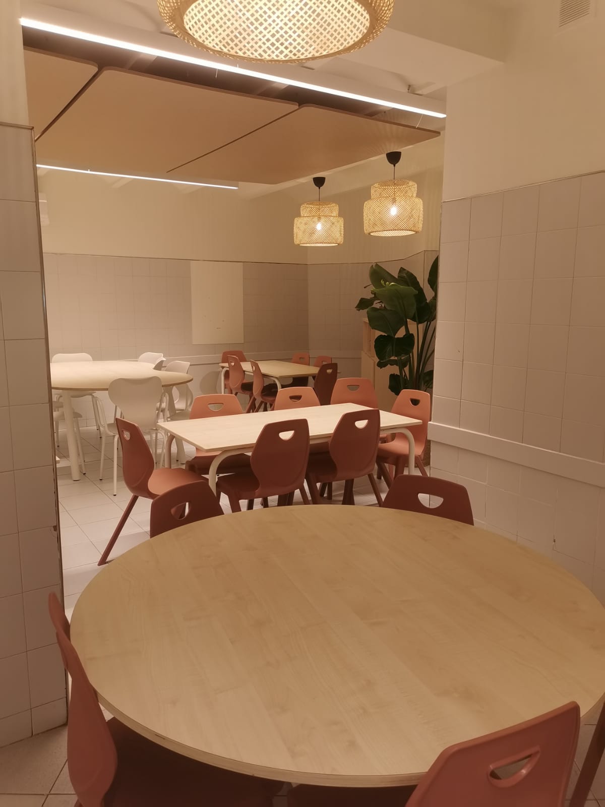 WhatsApp Image 2025-12-03 at 08.16.59