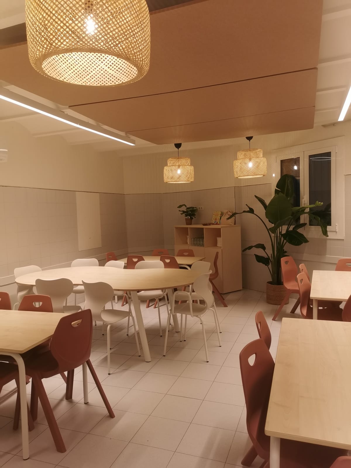 WhatsApp Image 2025-12-03 at 08.17.00