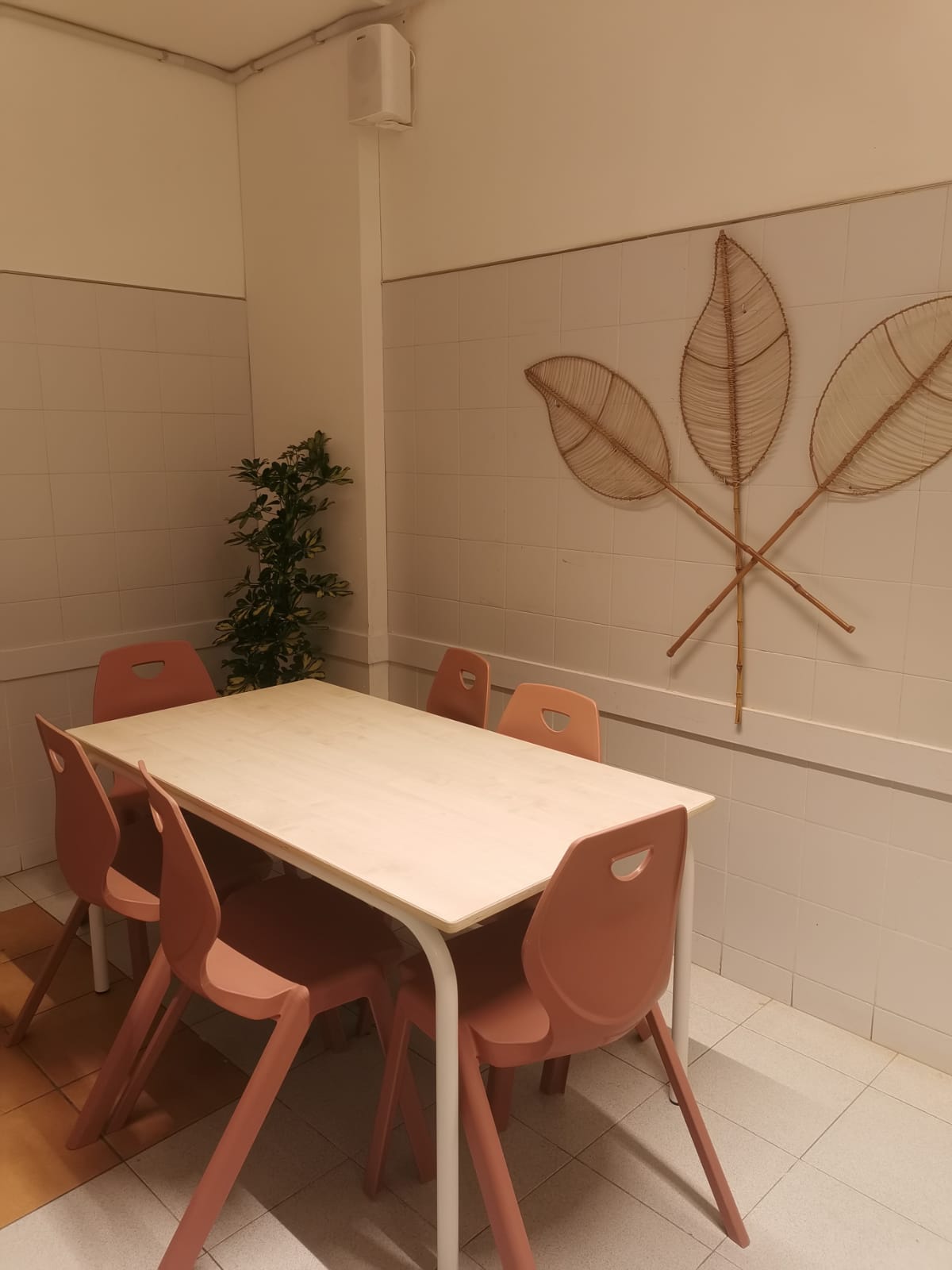 WhatsApp Image 2025-12-03 at 08.17.00(2)