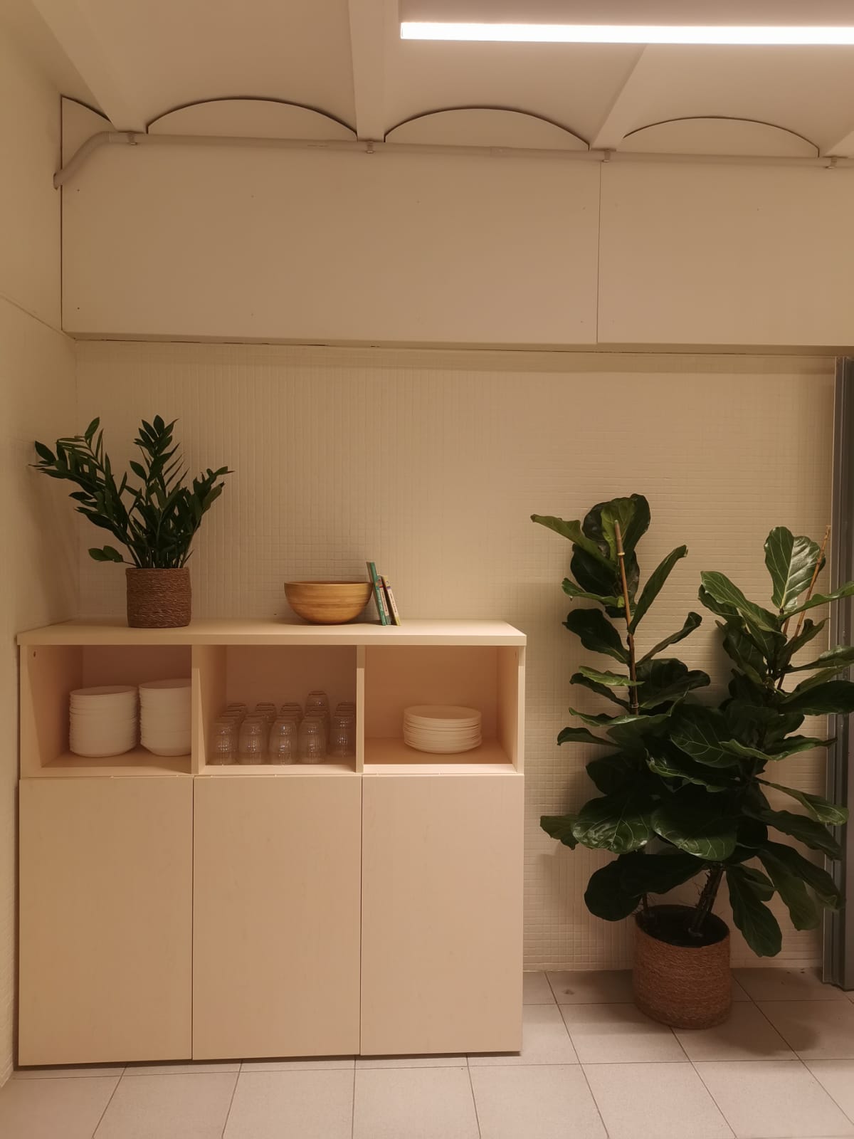 WhatsApp Image 2025-12-03 at 08.17.01