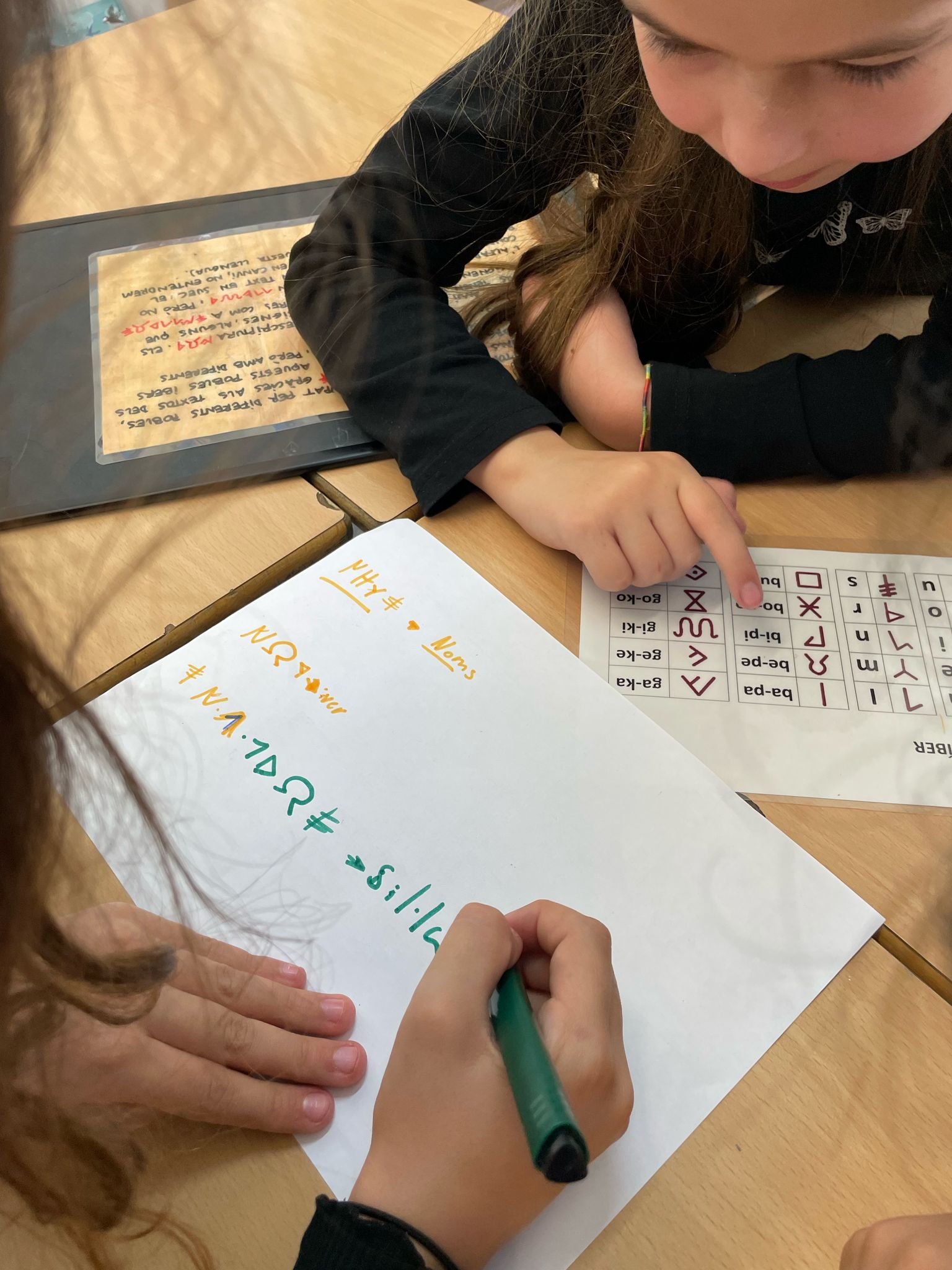 WhatsApp Image 2025-02-28 at 11.39.43 (2)