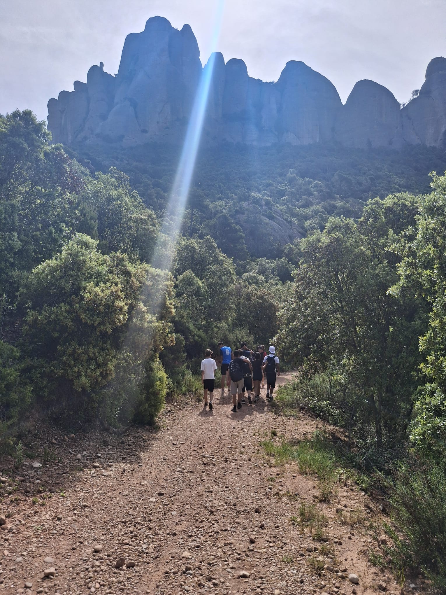 WhatsApp Image 2025-06-03 at 15.13.13