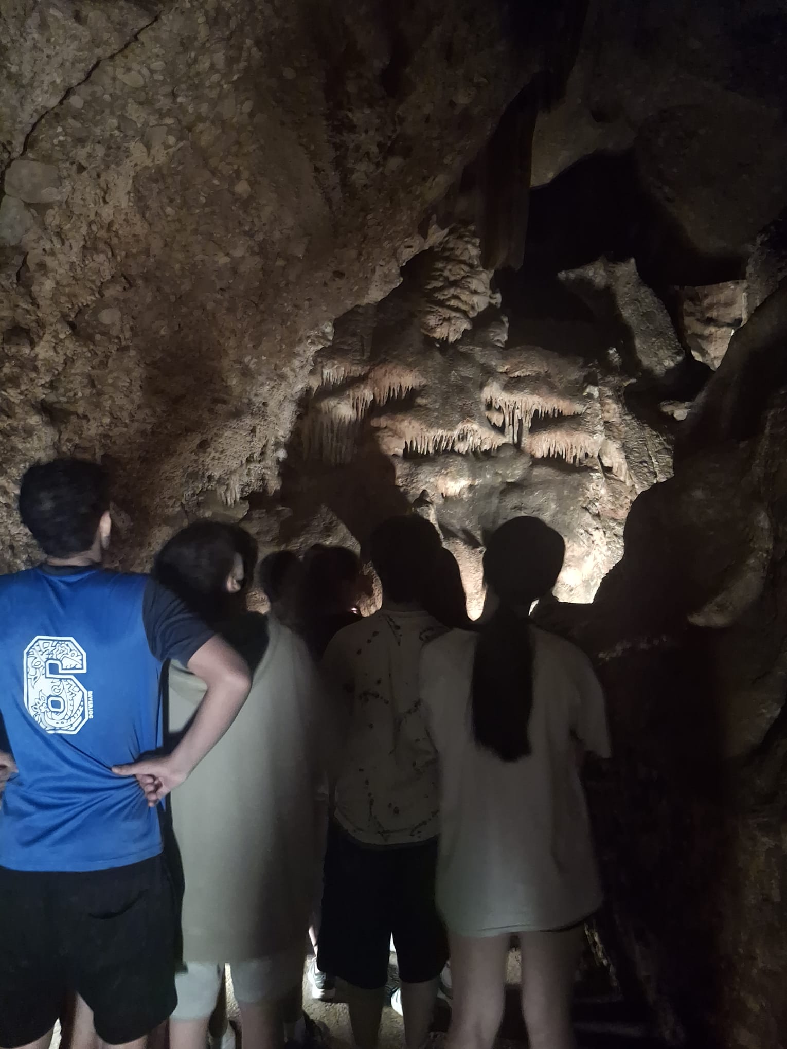 WhatsApp Image 2025-06-03 at 15.13.17