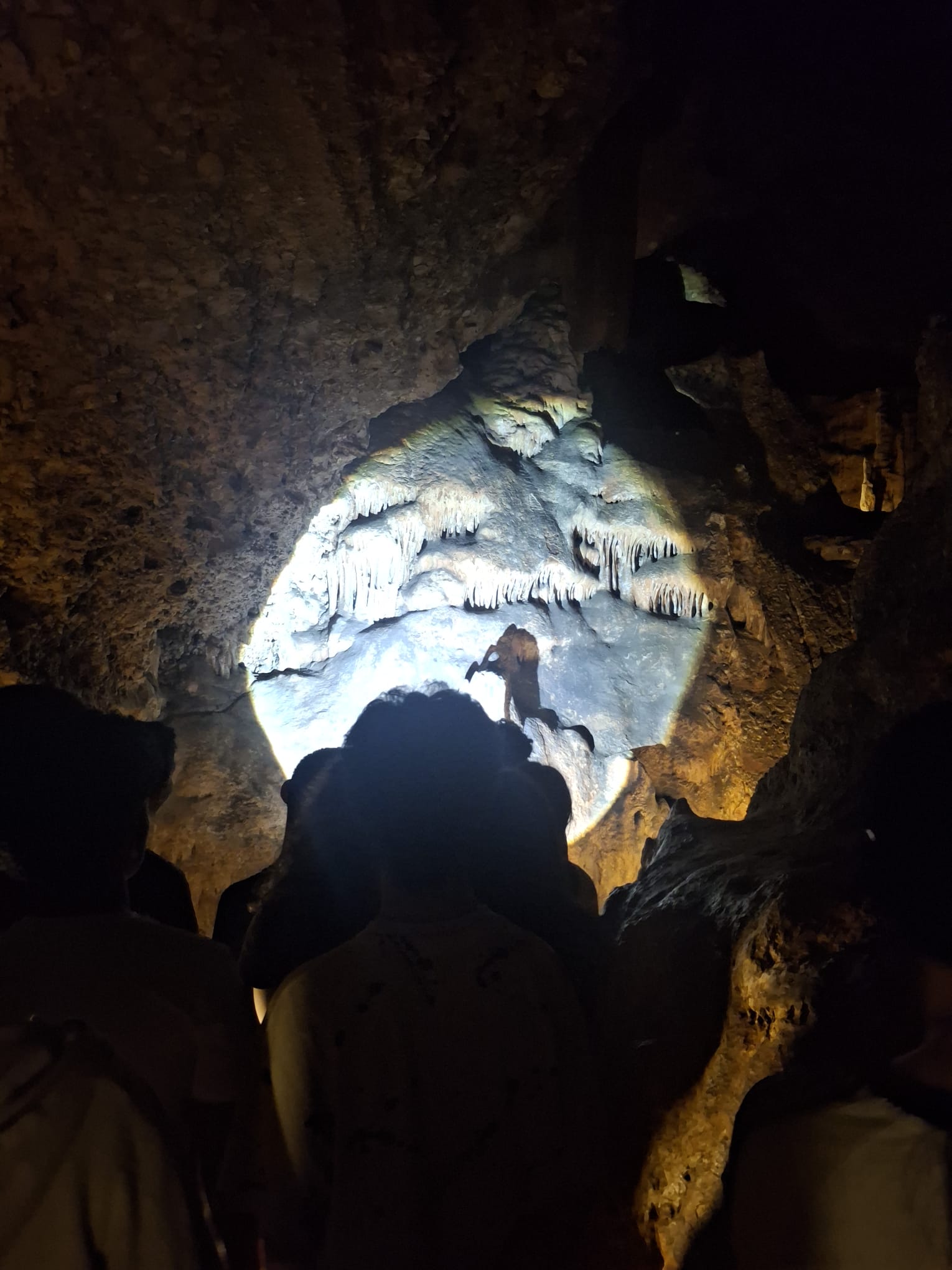 WhatsApp Image 2025-06-03 at 15.13.18 (1)