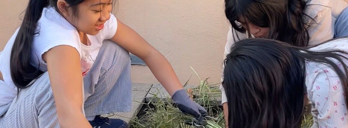 PHOTO-2026-02-03-11-55-23 (1)