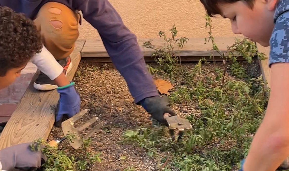 PHOTO-2026-02-03-11-55-23 (2)