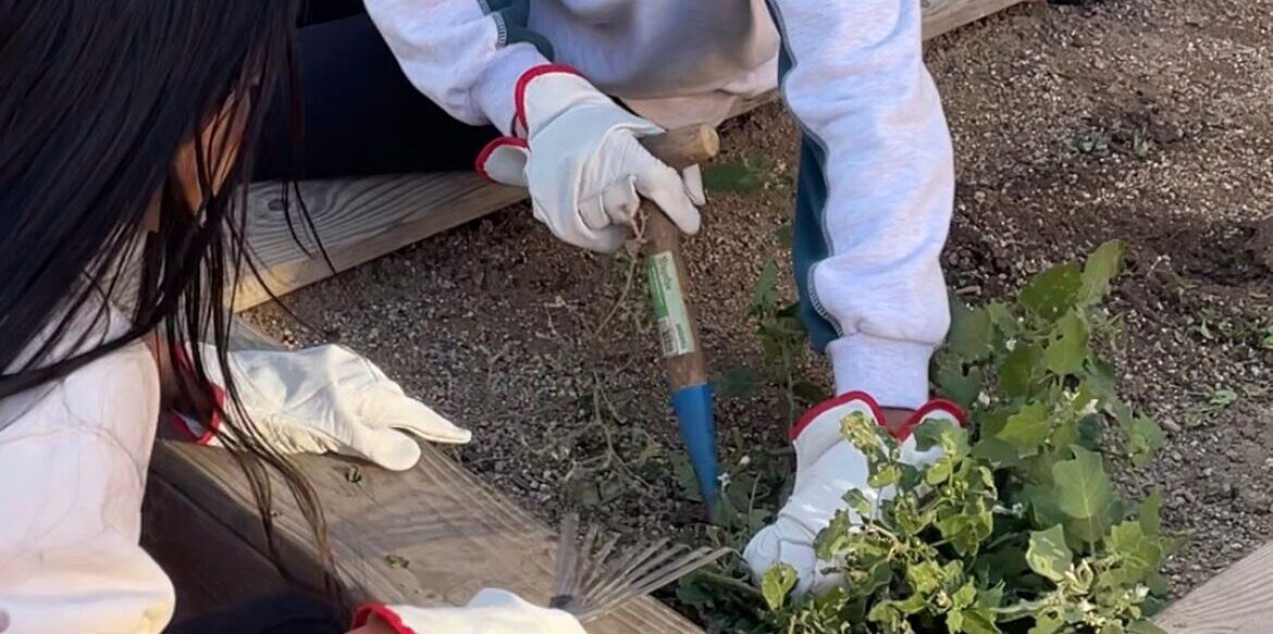 PHOTO-2026-02-03-11-55-23 (3)