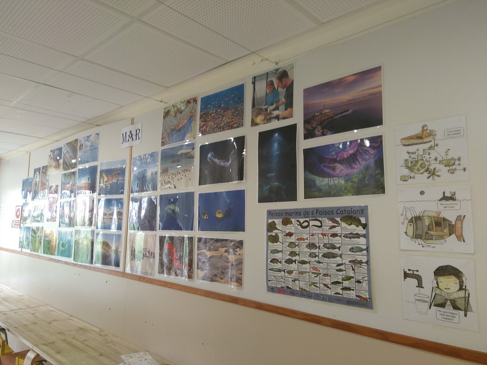 WhatsApp Image 2018-09-16 at 21.04.13