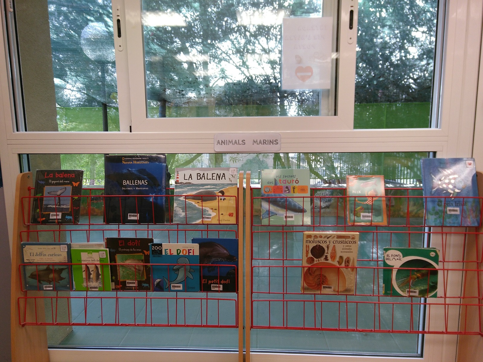 WhatsApp Image 2018-09-16 at 21.04.15 (1)