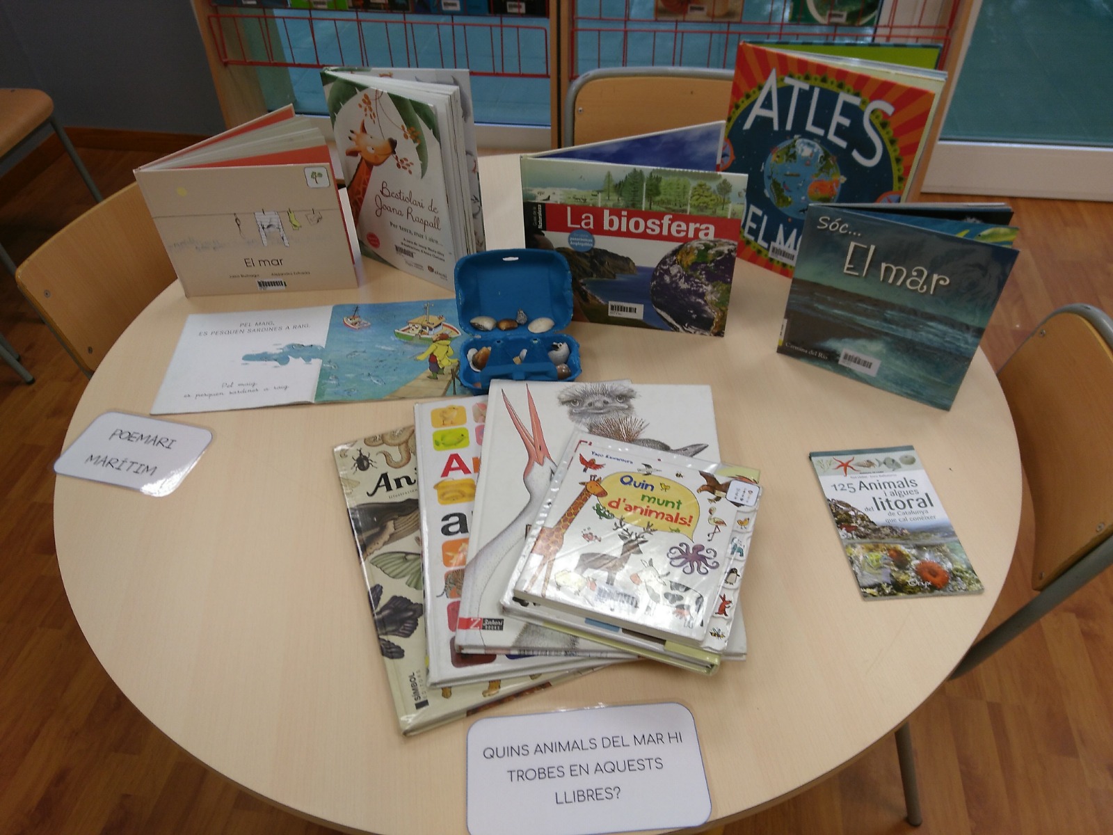 WhatsApp Image 2018-09-16 at 21.04.16 (1)