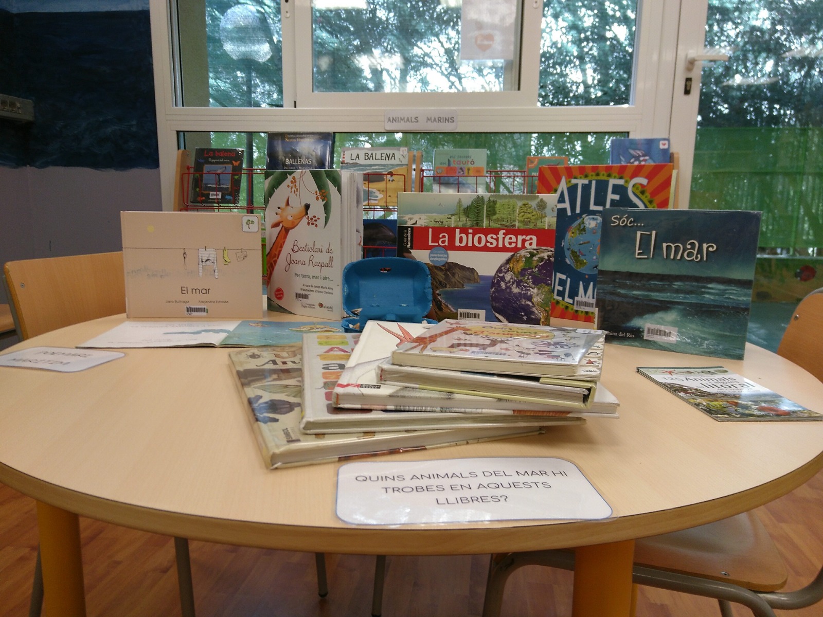 WhatsApp Image 2018-09-16 at 21.04.16