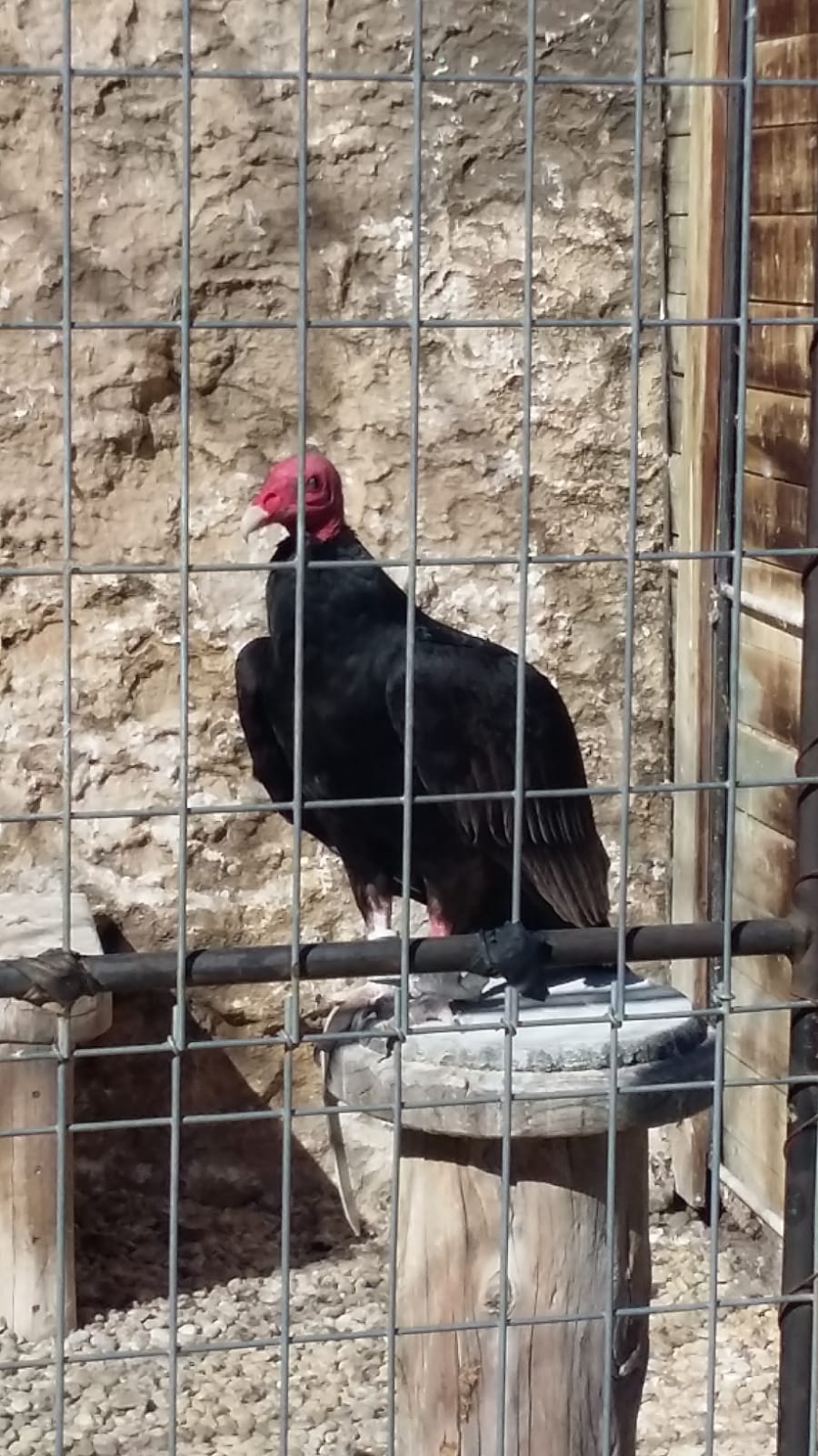 WhatsApp Image 2019-02-27 at 12.09.28