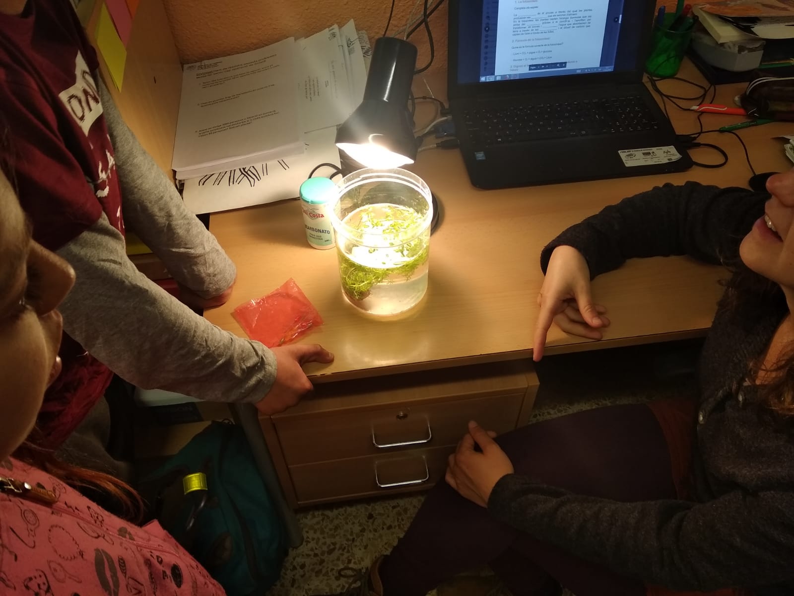 WhatsApp Image 2019-03-15 at 09.40.15