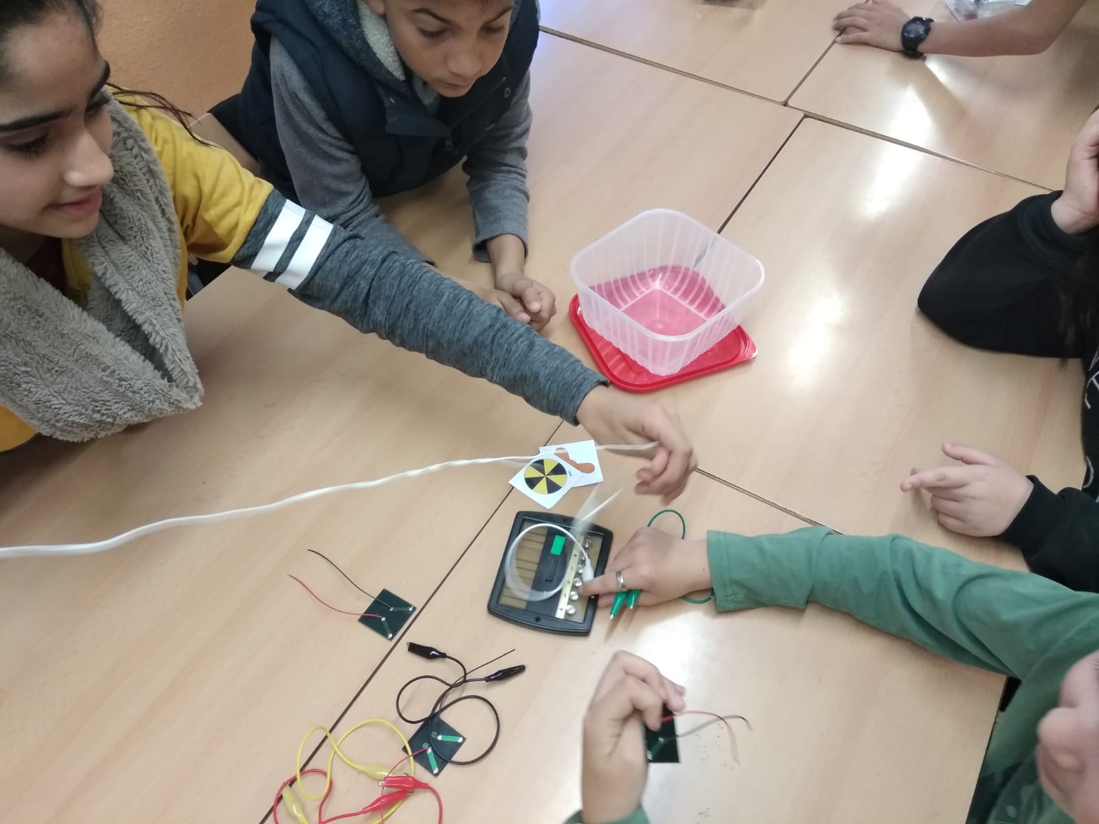 WhatsApp Image 2019-03-15 at 09.40.17 (1)