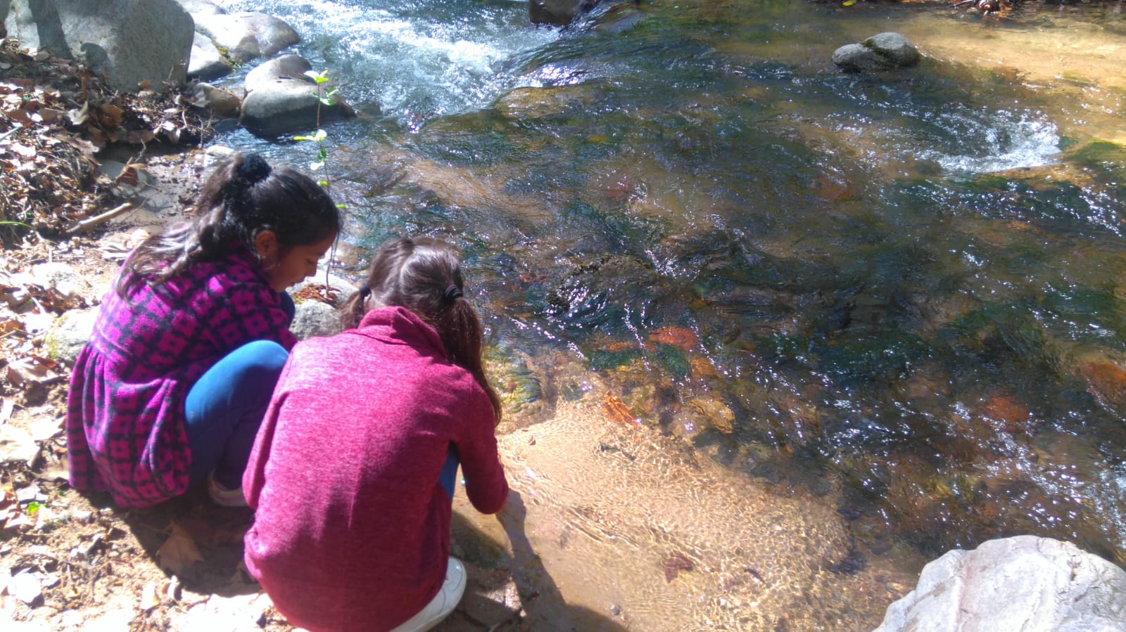 WhatsApp Image 2019-04-04 at 12.30.16