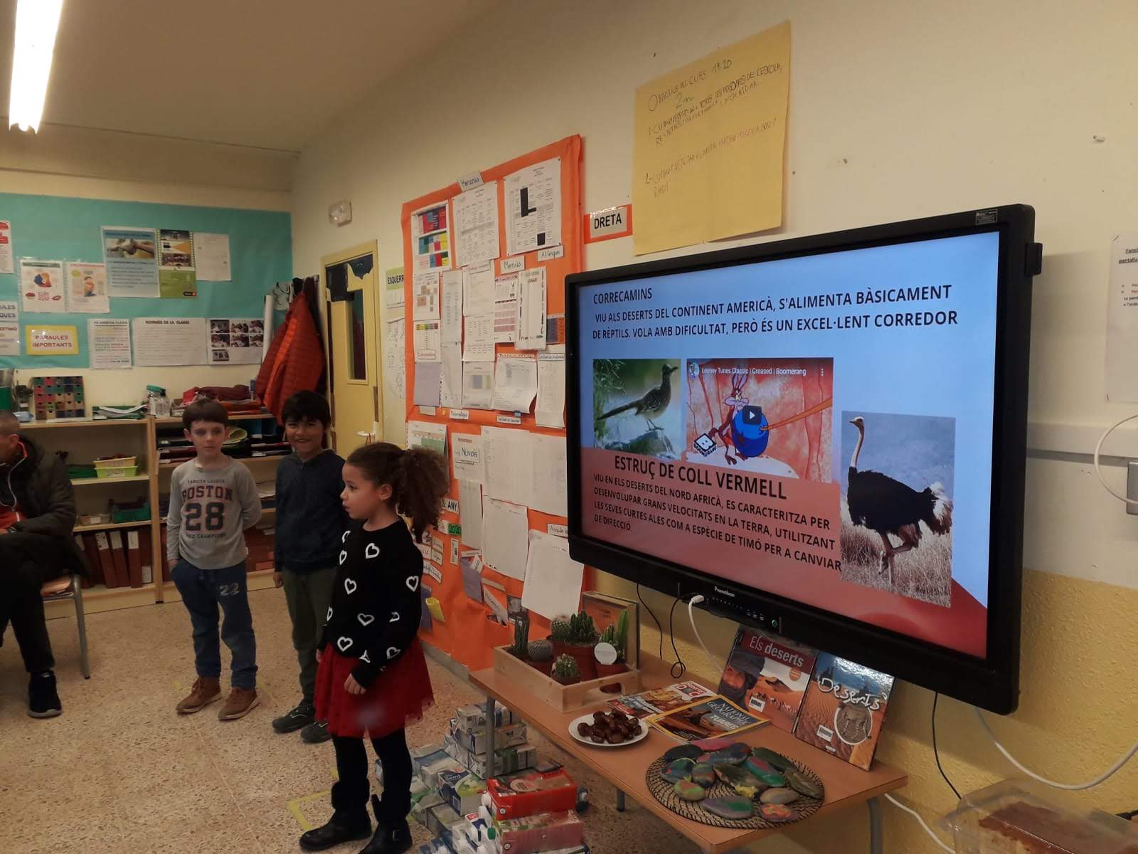 WhatsApp Image 2020-02-03 at 11.08.56 (1)