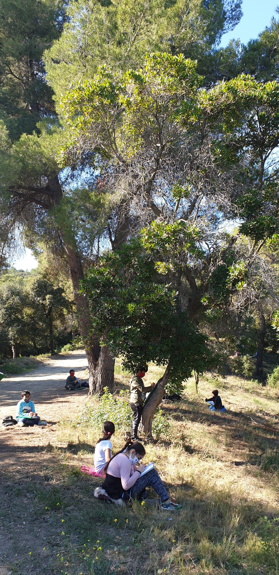 WhatsApp Image 2020-10-30 at 18.04.47