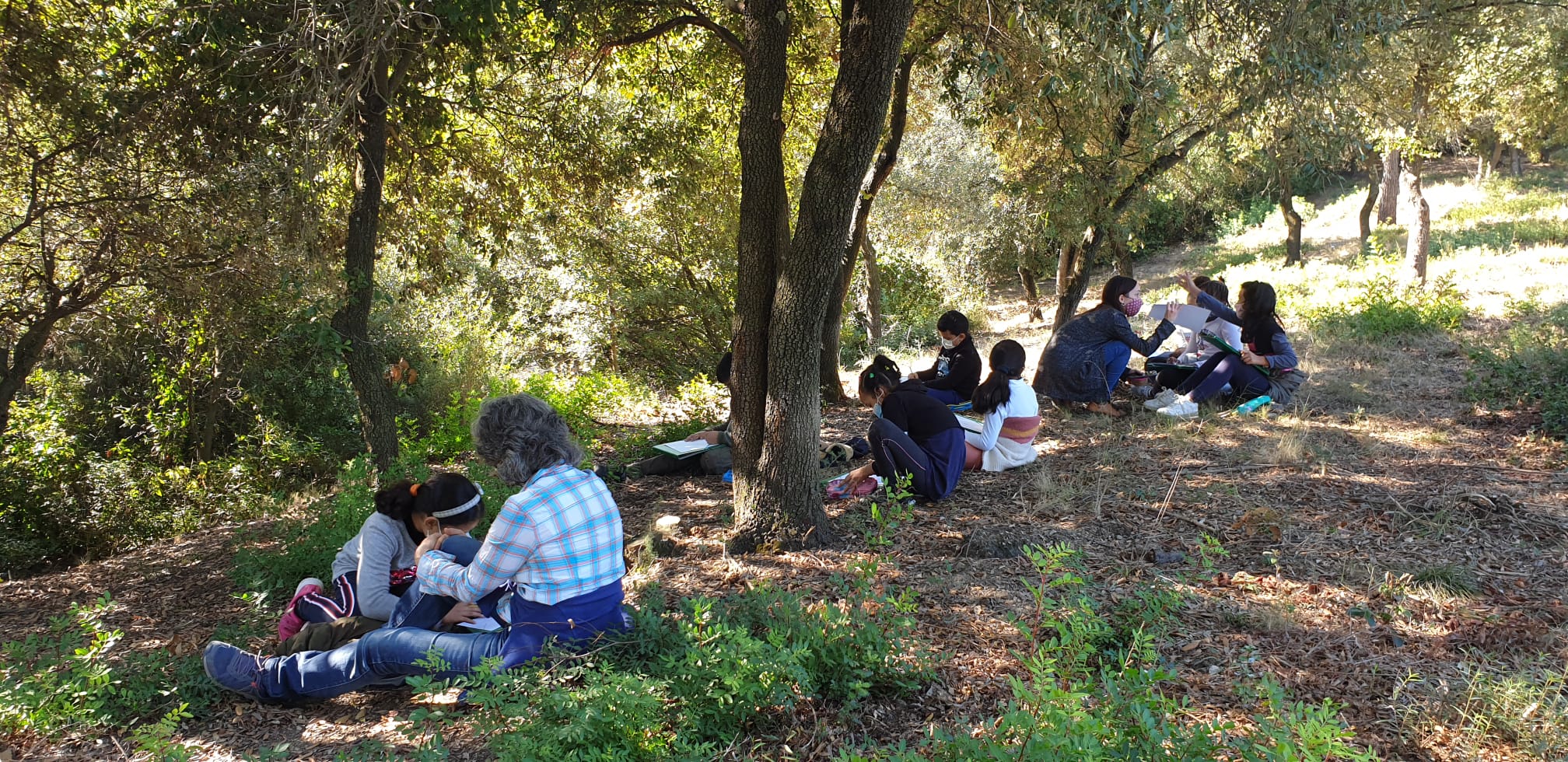 WhatsApp Image 2020-10-30 at 18.05.05