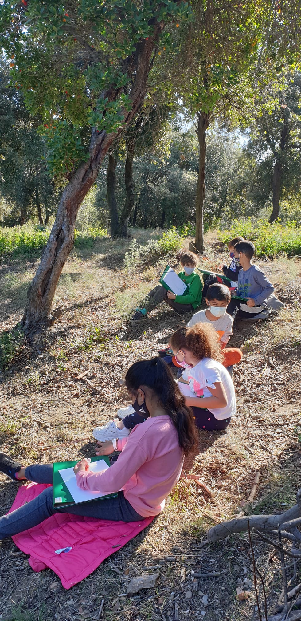 WhatsApp Image 2020-10-30 at 18.05.32