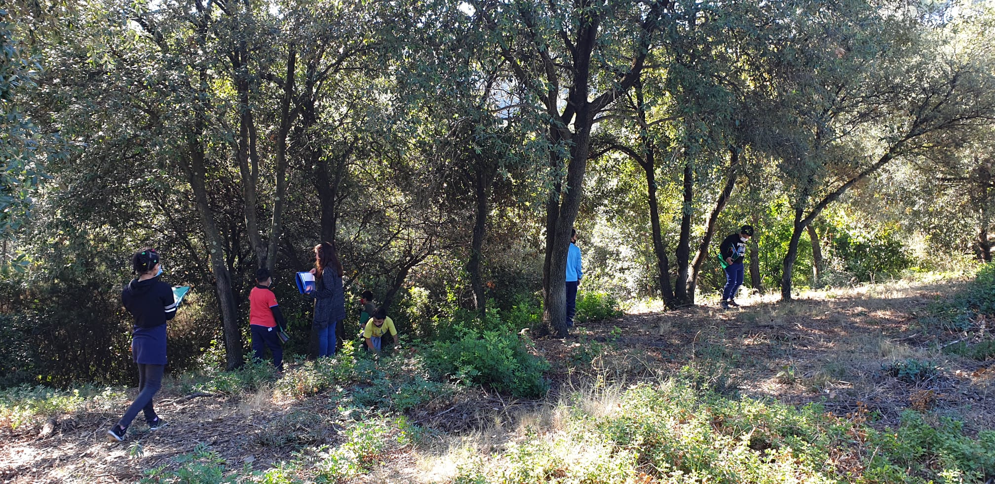 WhatsApp Image 2020-10-30 at 18.06.02