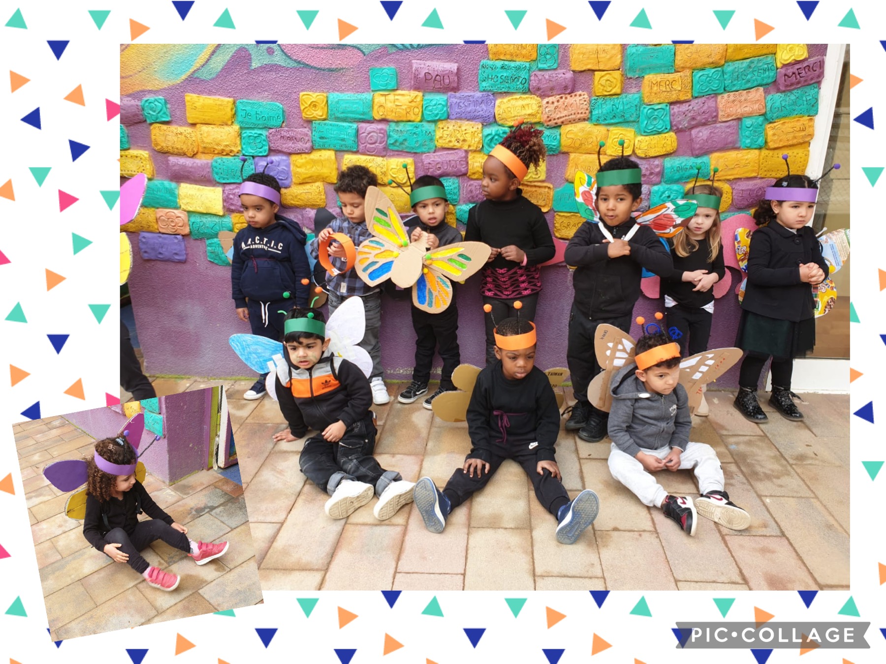 P3: Classe de les papallones