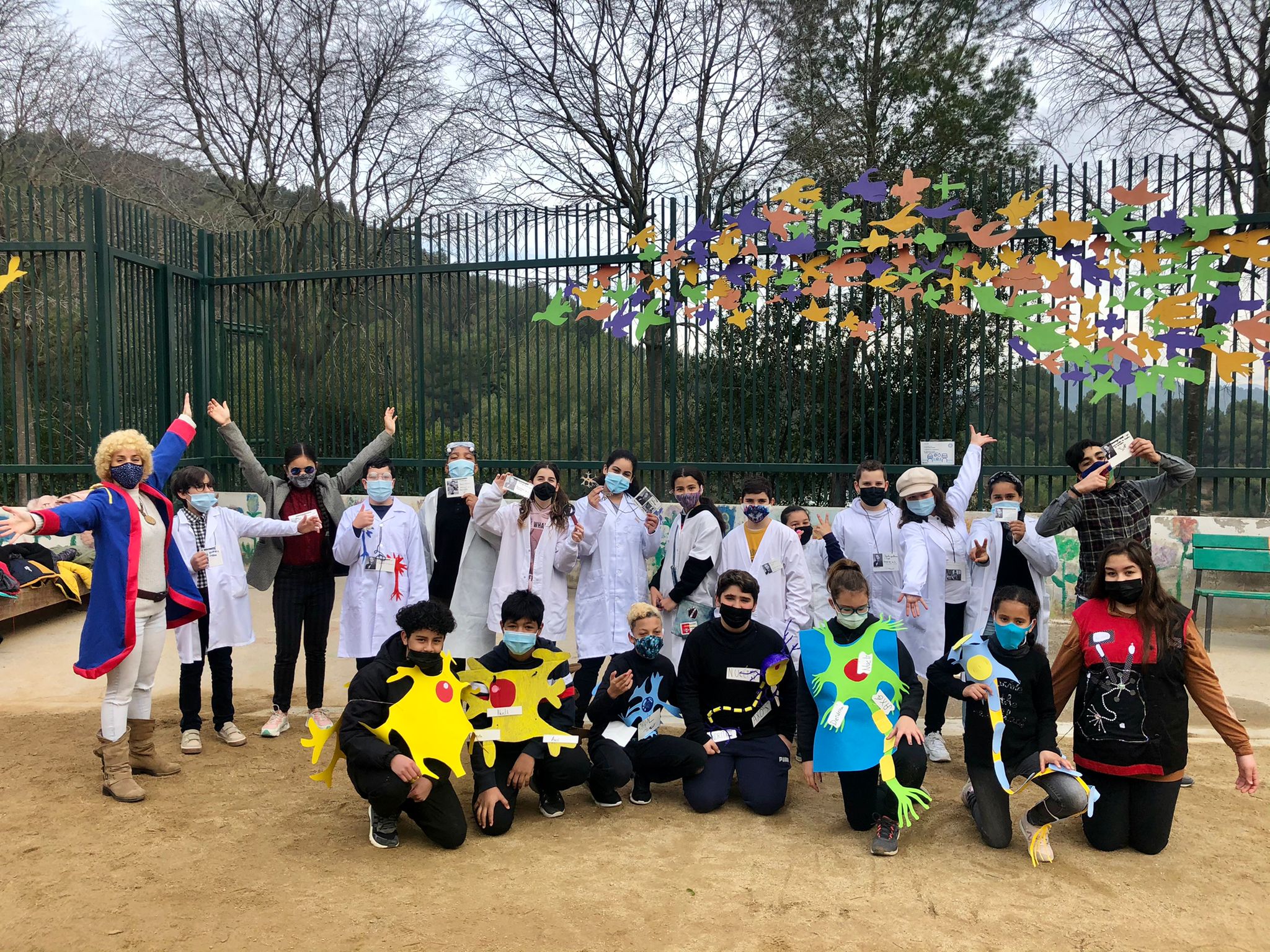 6è: classe de les neurones