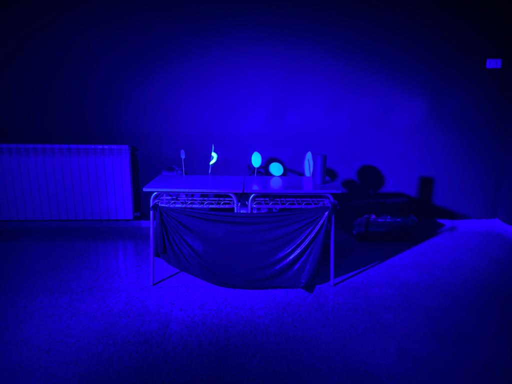 04D5E8C5-D782-4E7E-840F-78B755E11A4C