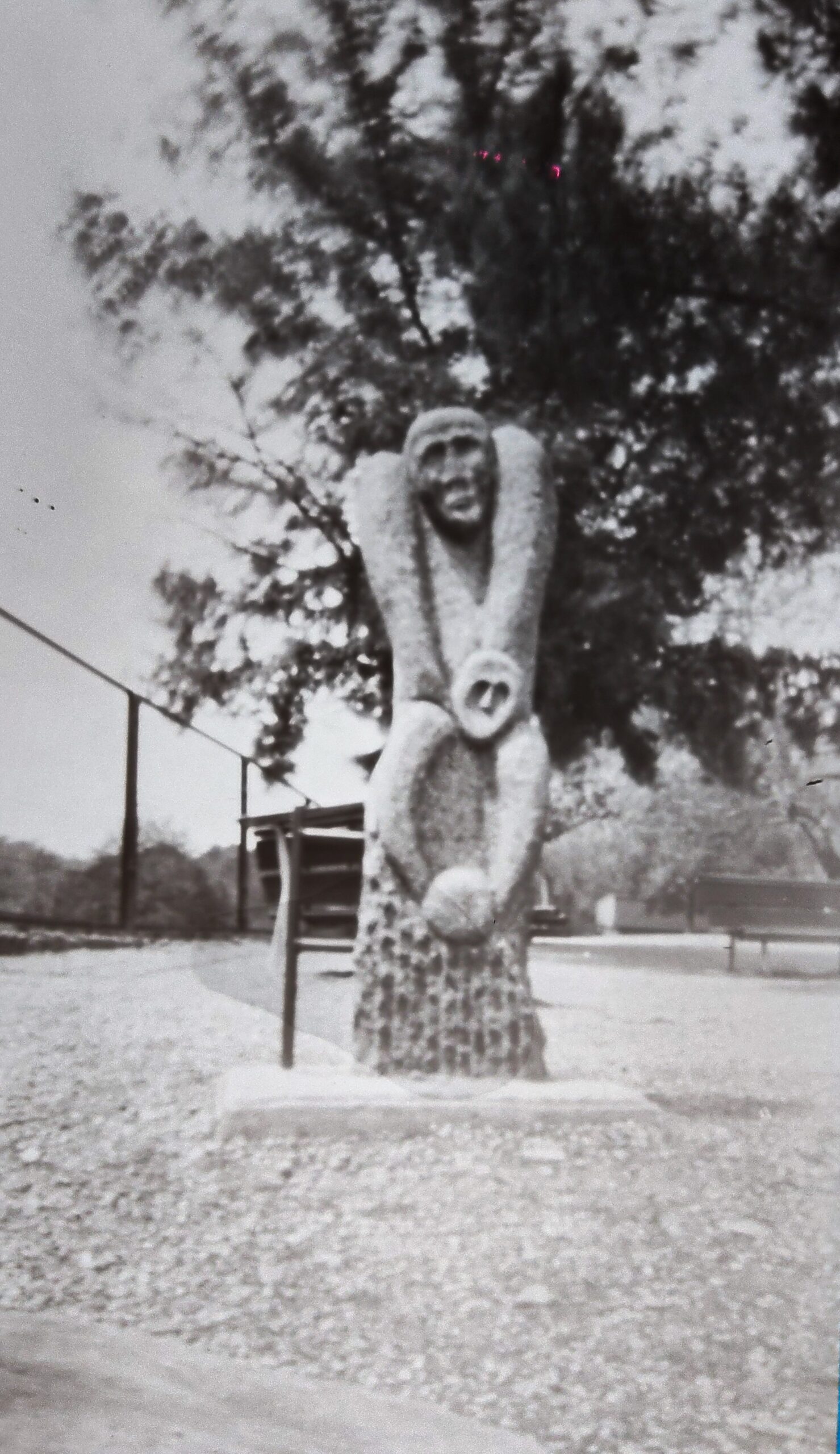 PSX_20240627_131336-min