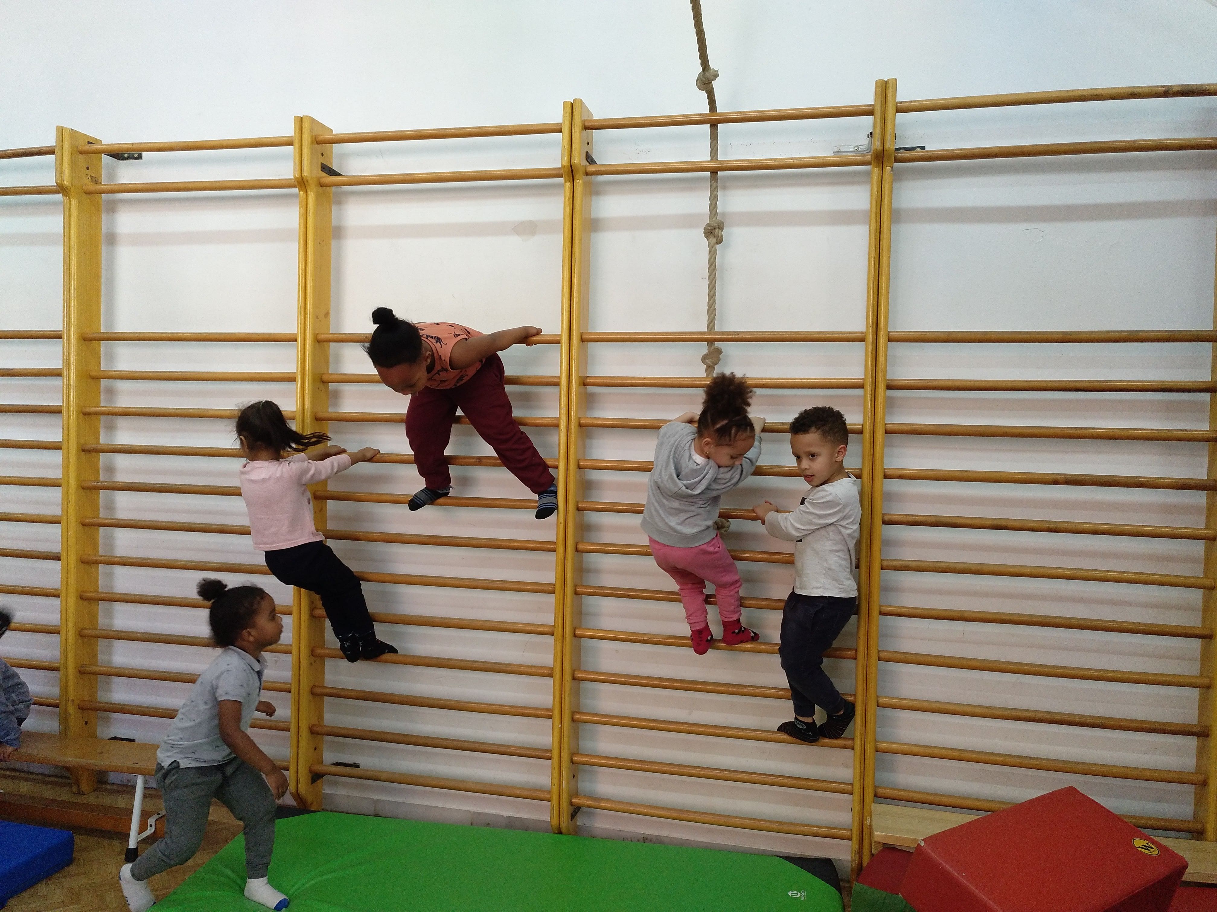 MVIMG_20200205_153005_350-min