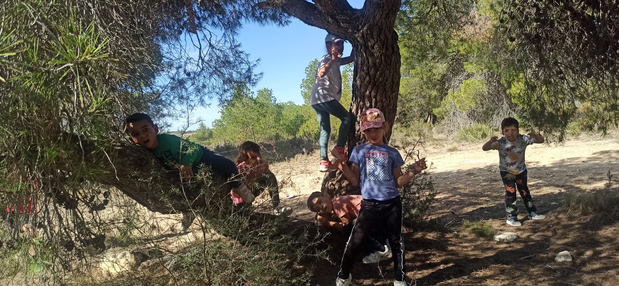 0beed038-ab55-445a-a1e3-66a921d0c77c