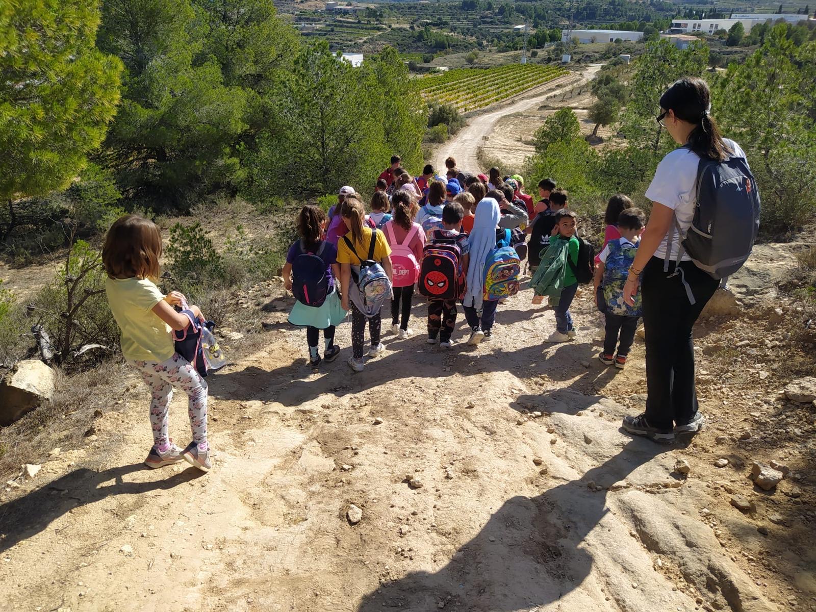 2da2f908-2a8c-4ded-bab7-4fdb1cd14c57