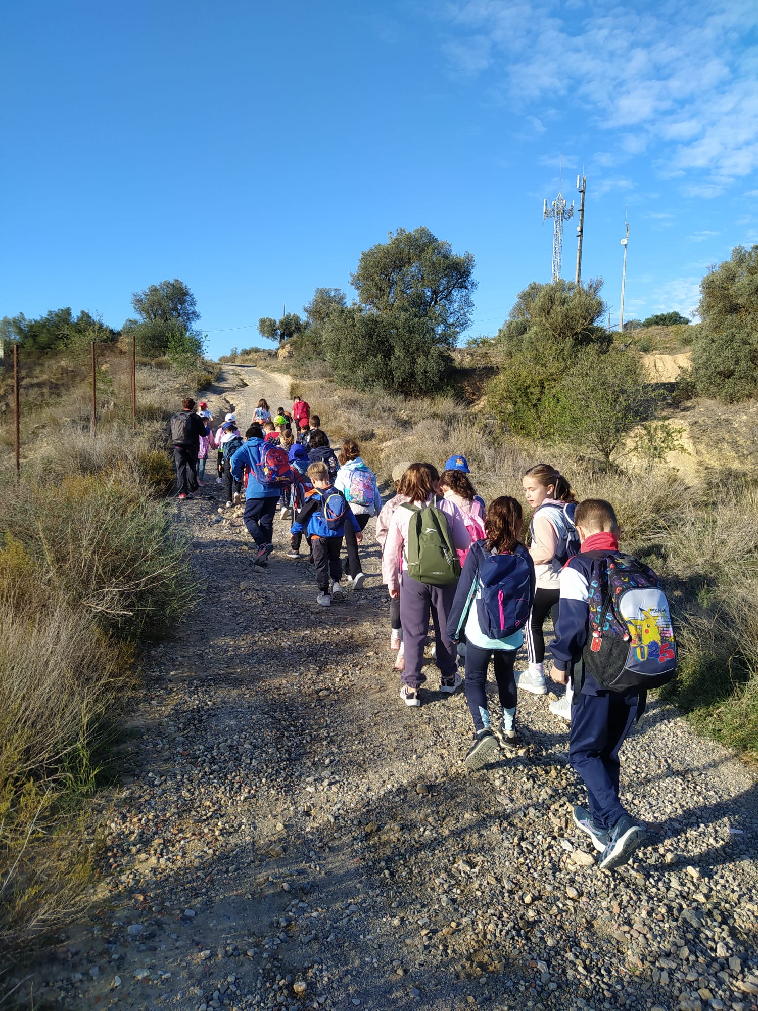 335801aa-cfa1-499c-8822-01fad6df9003