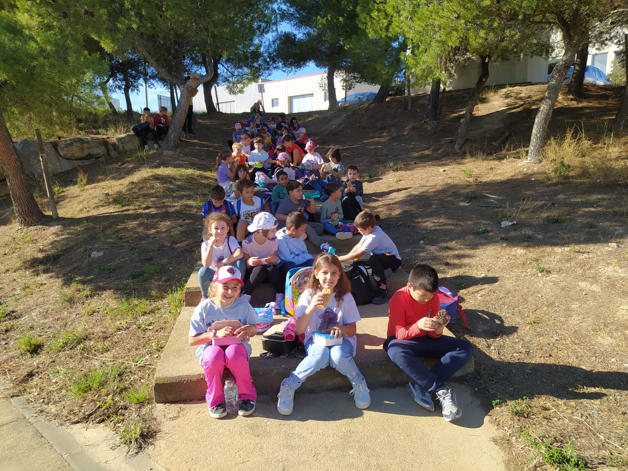 33daa01d-9a59-4c78-8caf-e9ce2972027f