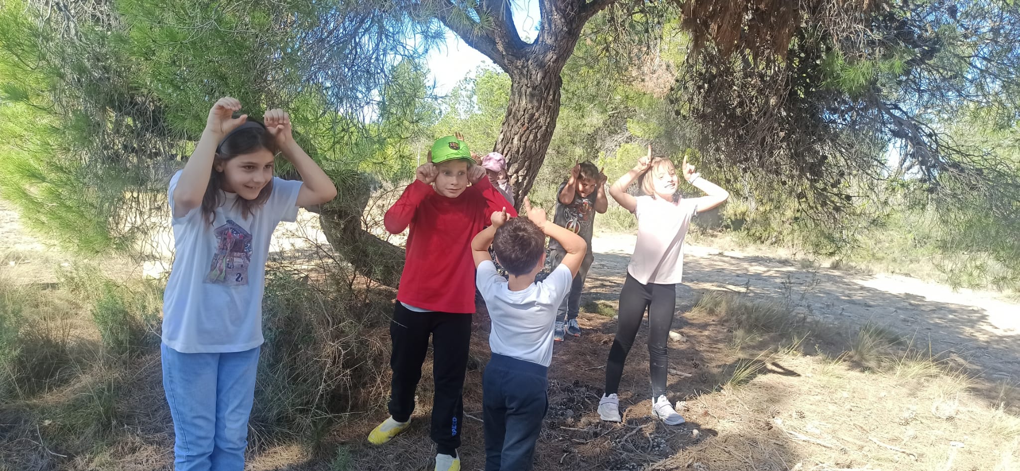 4c094446-5e4b-4cd8-8dd1-3ae4fe0d3d5c