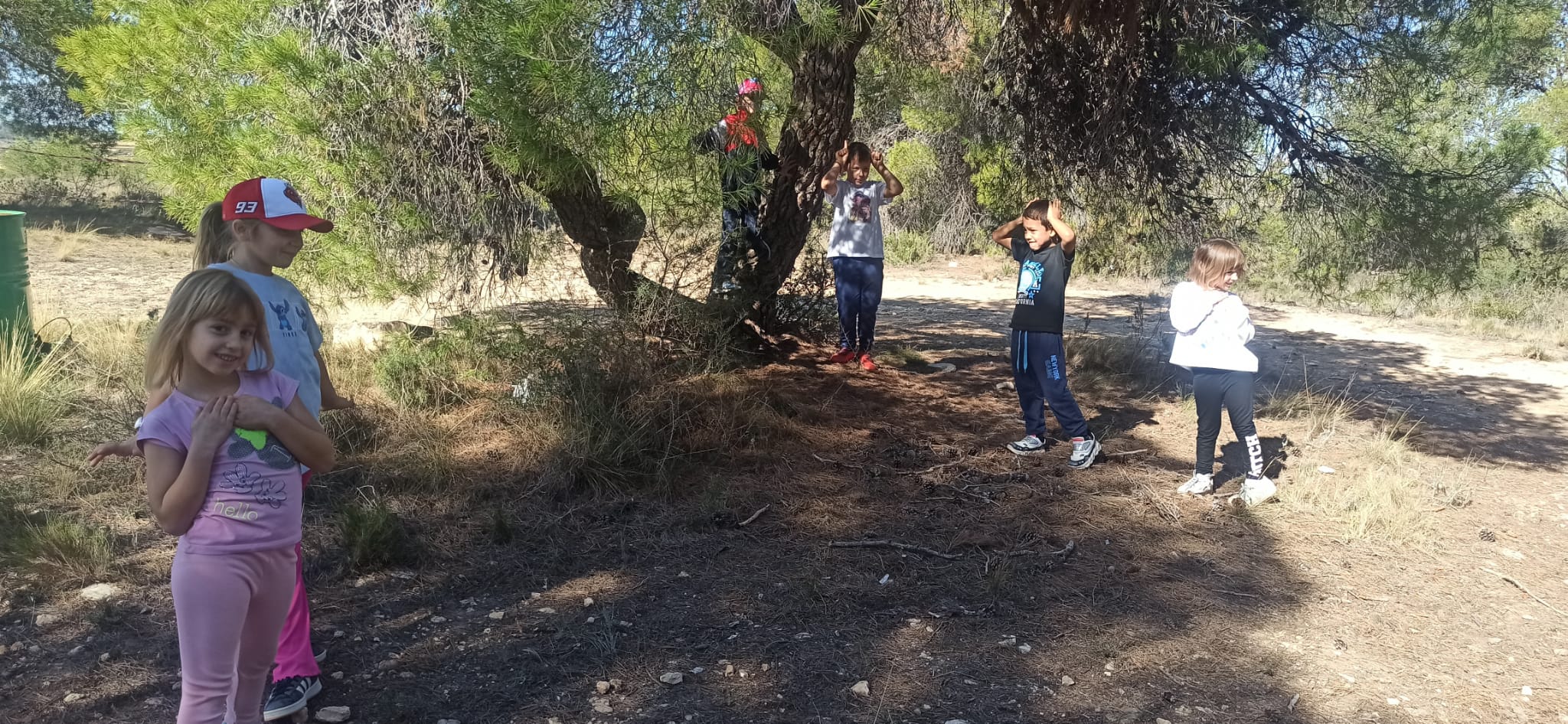 6630c881-dc74-4efa-8657-9493a72a304e