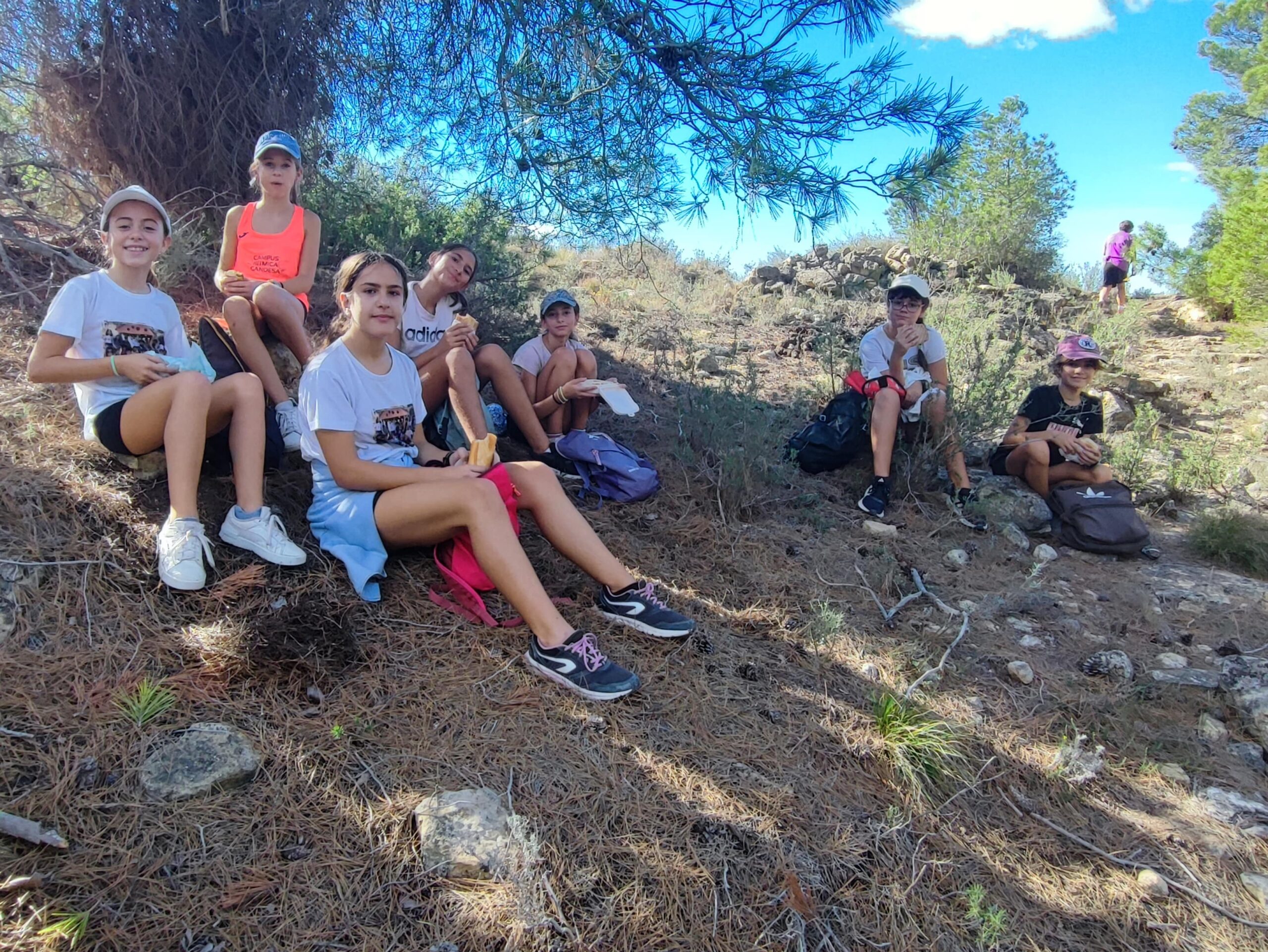 IMG_20240926_110539-min