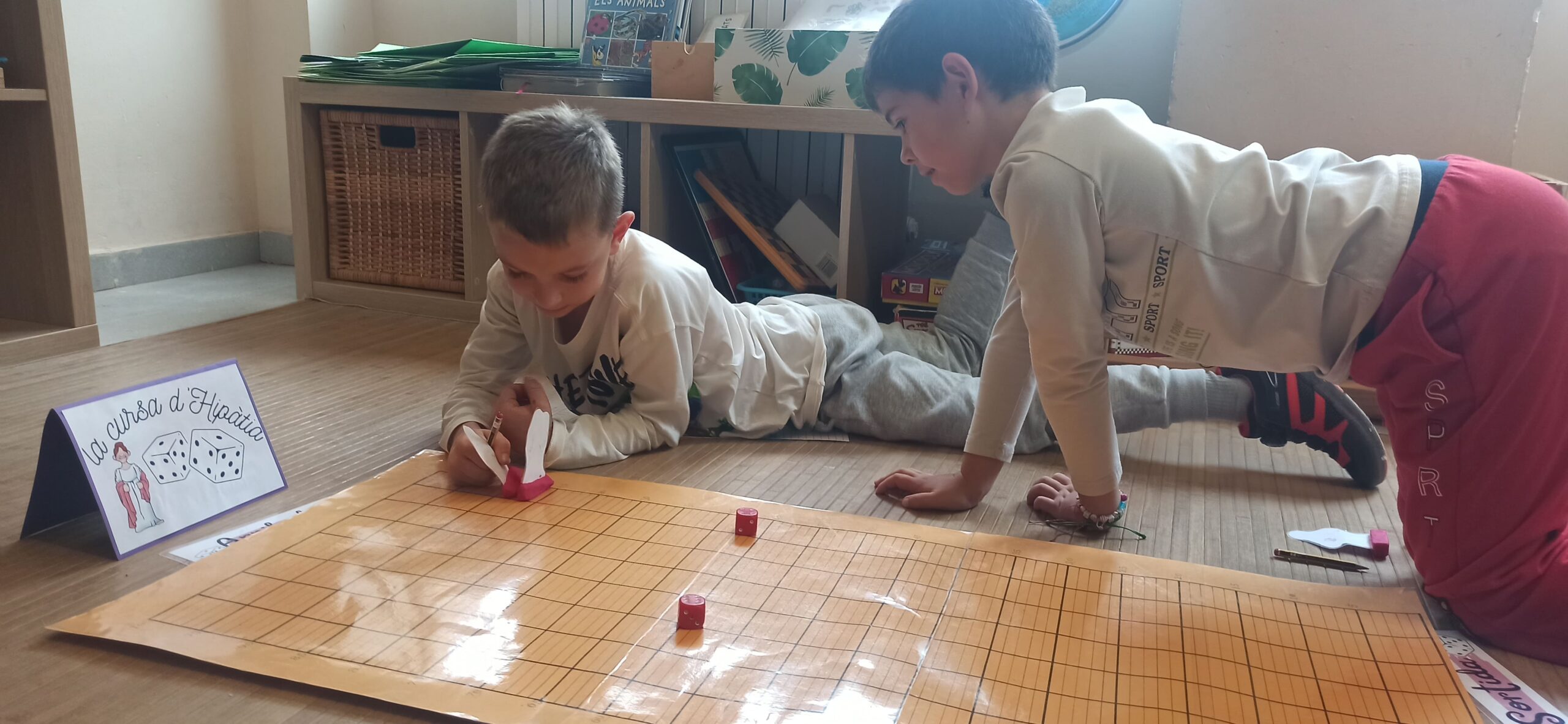 IMG_20241018_123317 (1)