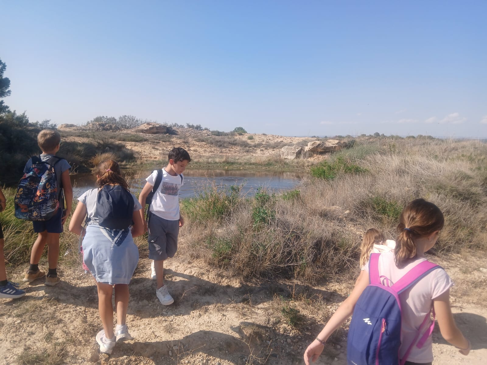 PHOTO-2024-10-02-16-31-54 (1)