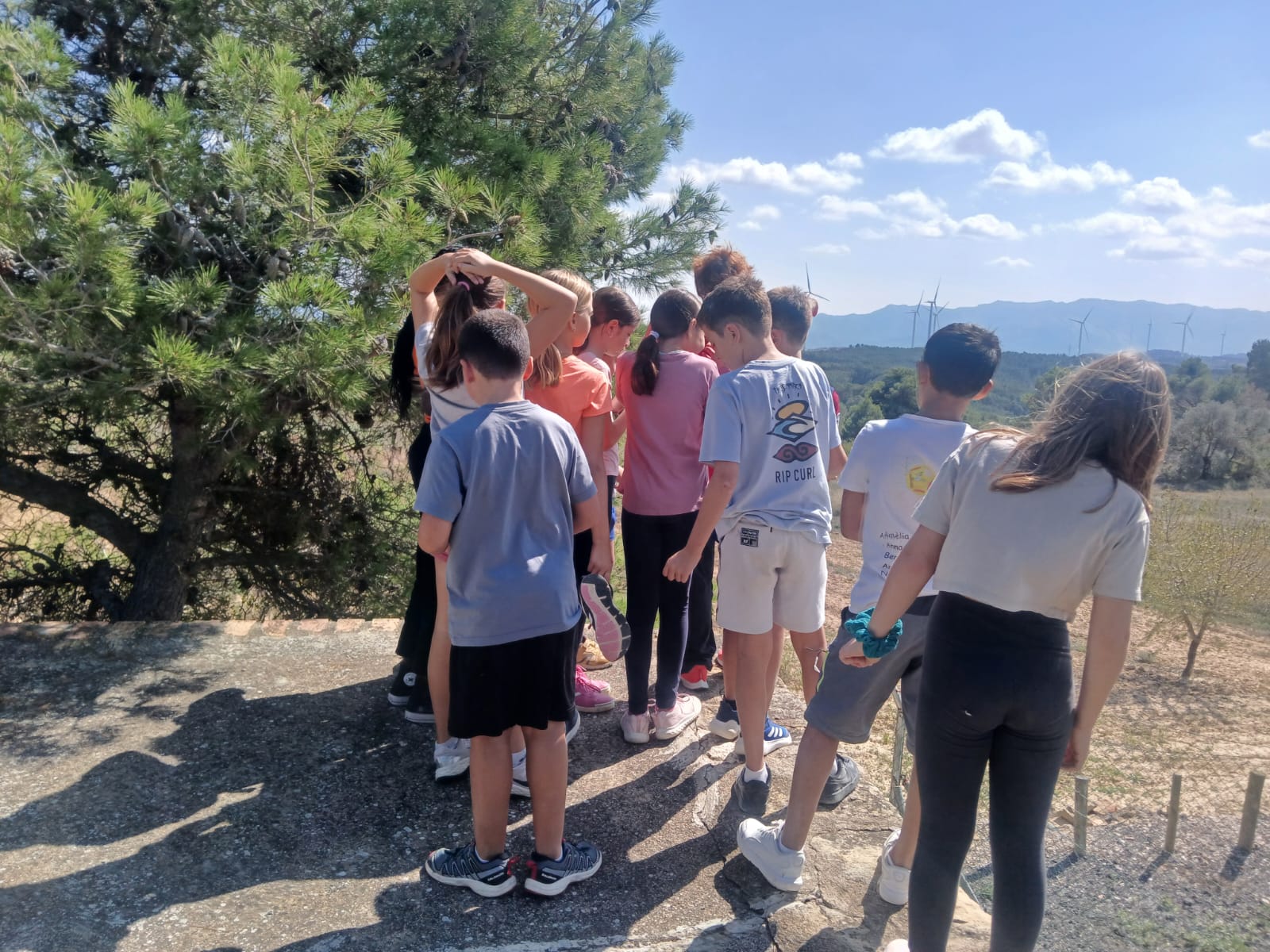 PHOTO-2024-10-02-16-31-56 (1)