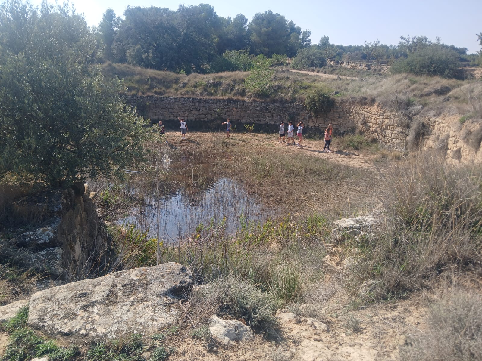 PHOTO-2024-10-02-16-32-03 (1)