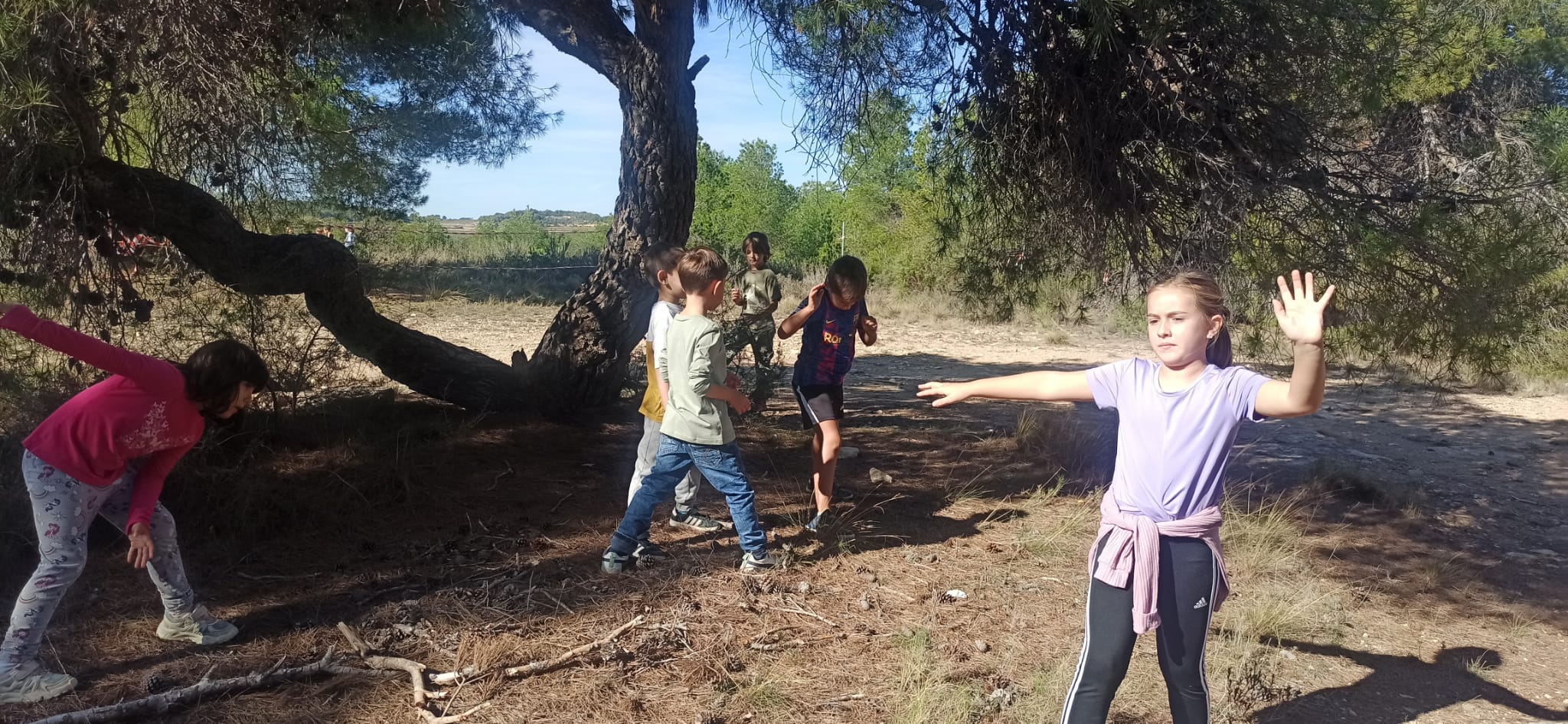 a00694d0-eb96-4975-8642-b69a80c573fb